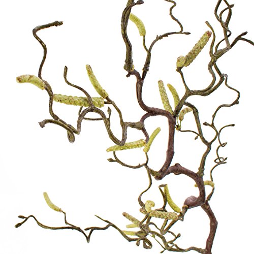Ramo di nocciolo artificiale con 20 amenti, 65 cm – Nocciolo decorativo / Ramo ornamentale – artplants - 2