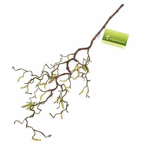 Ramo di nocciolo artificiale con 20 amenti, 65 cm – Nocciolo decorativo / Ramo ornamentale – artplants - 3