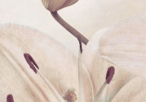murando Quadro 200×100 cm Stampa su Tela in TNT XXL Immagini Moderni Murale Fotografia Grafica Decorazione da Parete 5 Pezzi Fiori b-A-0297-b-n - 5