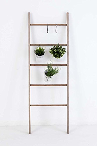 CLP Scala Decorativa MARIETTE in Legno con 5 Pioli – Scaletta per Piante o Appediabiti I Scala Arredo Stile Shabby Chic Romantico I Scala da Terra Appendi Vasi Larghezza 50 cm Marrone Chiaro - 2