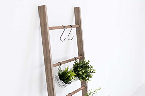 CLP Scala Decorativa MARIETTE in Legno con 5 Pioli – Scaletta per Piante o Appediabiti I Scala Arredo Stile Shabby Chic Romantico I Scala da Terra Appendi Vasi Larghezza 50 cm Marrone Chiaro - 3