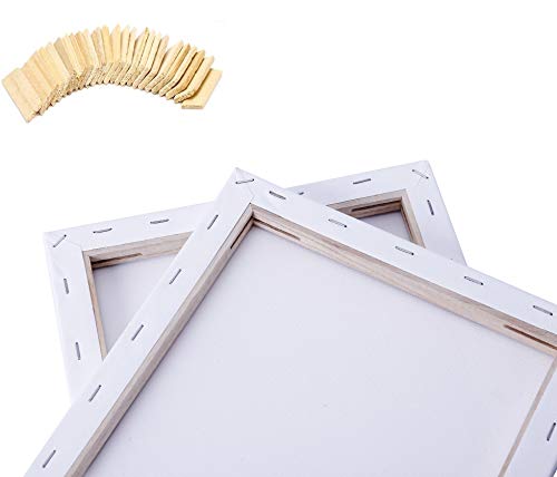 EXERZ Set da 5 tele per pittura/ tele d’artista intelaiate/ 30 x 24 cm 280GSM/ tele prestirate 100% Cotone/ Vuote / Triple Primed, tre strati di gesso/ Prive di acidi / Grana media/ spessore 1.7cm - 4