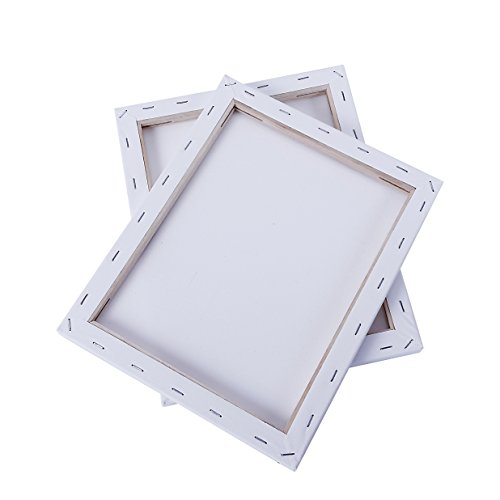 EXERZ Set da 5 tele per pittura/ tele d’artista intelaiate/ 30 x 24 cm 280GSM/ tele prestirate 100% Cotone/ Vuote / Triple Primed, tre strati di gesso/ Prive di acidi / Grana media/ spessore 1.7cm - 5