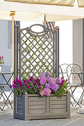 Bama - Fioriera Con Spalliera Separè Bama In Resina, Colore Ferro Battuto, 80x42,5x150h - 2