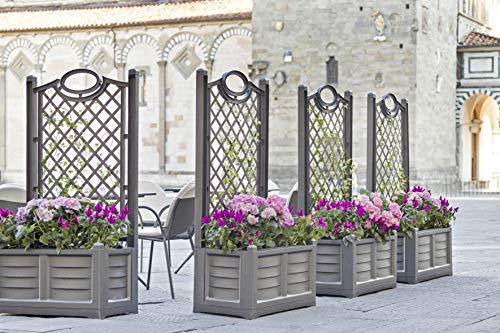 Bama - Fioriera Con Spalliera Separè Bama In Resina, Colore Ferro Battuto, 80x42,5x150h - 3