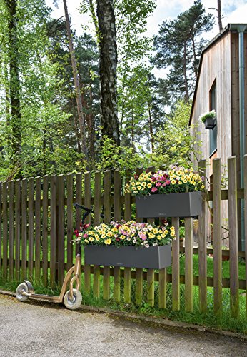 Lechuza 4008789156730 Balconera Colore Ardesia 50Cm Vaso da Esterno in Plastica, Unica - 3