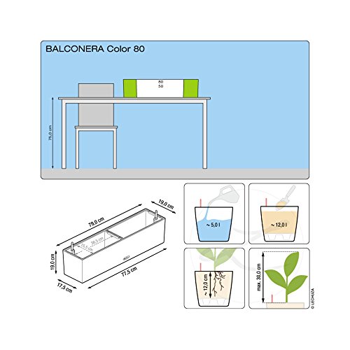 Lechuza Vaso Fioriera in Resina per Piante Balconera, Set Completo - GRIGIO ARDESIO - 4