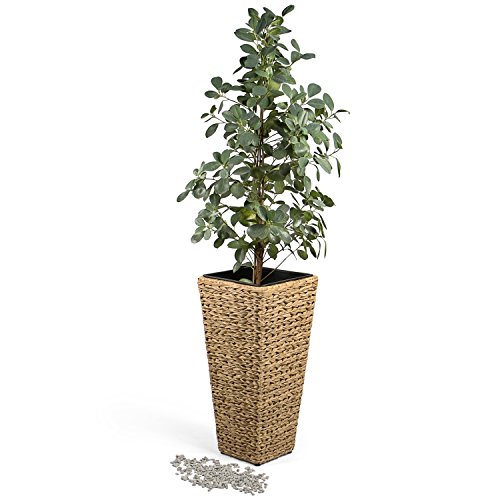 Park Alley Vaso per Fiori in Plastica Effetto Vimini - Fioriera per Esterni ed Interni - Arredo Moderno ed Elegamente per Giardino, Terrazza o Salotto - Beige - 2