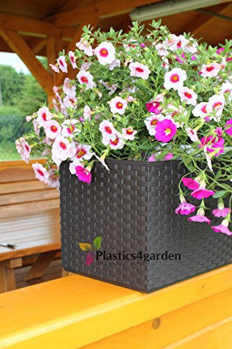 Fioriera vaso per piante con sistema d'irrigazione RATO CASE simil rattan 17Lt colore: marrone grigiastro - 3