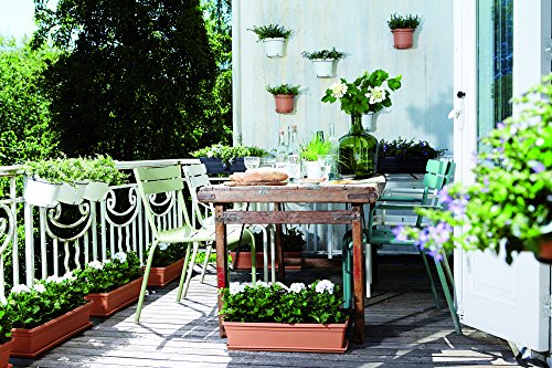 elho Green Basics Fioriera, Nero, 60 cm - 3