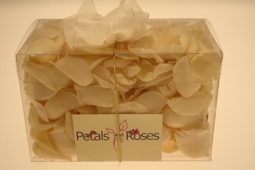 Coriandoli biodegradabili di petali di rosa, per matrimoni, Ivory, 2 l - 3