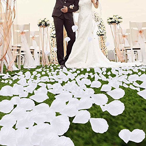 Beskit 3000 pezzi petali di rosa in seta artificiale petali di fiori per festa di nozze fiore ragazza nuziale doccia hotel Home party Valentine Day fiore decorazione bianco - 3
