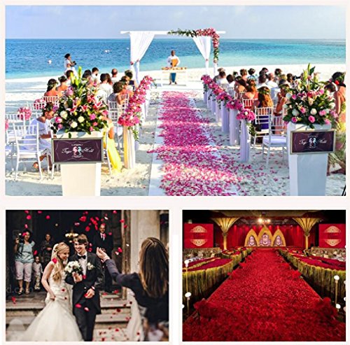 Beskit 3000 pezzi petali di rosa in seta artificiale petali di fiori per festa di nozze fiore ragazza nuziale doccia hotel Home party Valentine Day fiore decorazione bianco - 6