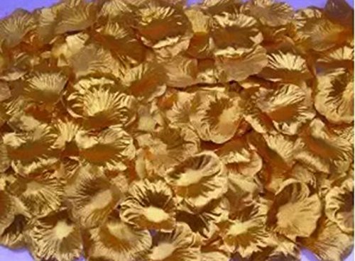 Wansan 1000 Petali di Seta Petali di Rosa Petali di Fiori Artificiali o Decorazione di bomboniere e Decorazioni per la casa - 2