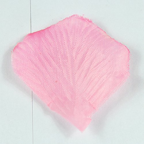 Wansan 1000 Petali di Seta Petali di Rosa Petali di Fiori Artificiali o Decorazione di bomboniere e Decorazioni per la casa - 3