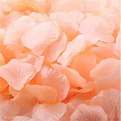 Wansan 1000 Petali di Seta Petali di Rosa Petali di Fiori Artificiali o Decorazione di bomboniere e Decorazioni per la casa - 4