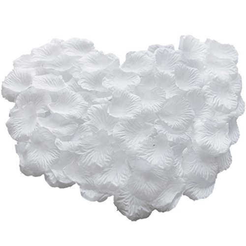 Wansan 1000 Petali di Seta Petali di Rosa Petali di Fiori Artificiali o Decorazione di bomboniere e Decorazioni per la casa - 6