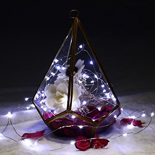 Qedertek 8 Pezzi Luci Led a Batteria, 2M 20 Micro Led Luci per Bottiglie, Luci Tappo Decorative, Stringa Luci Led Filo di Rame Impermeabile, Luci Bianco Freddo Addobbi Bottiglia di vino, Natale, Party - 6
