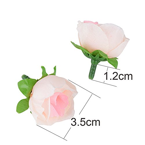 JNCH 100pz Teste di Rose Fiori Artificiali Seta Finte Piccole per Decorazioni Matrimonio Festa (Champagne) - 2