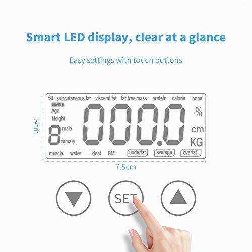 Bilancia Pesapersone Digitale Impedenziometrica Pesa Persona Diagnostica Massa Grassa Grasso Corporeo Precisione Vetro Temperato Sensore Automatico Memorizza 10 Utenti MUBYTREE - 7