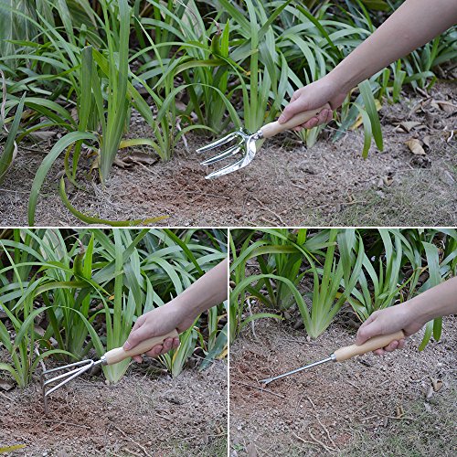GardenHome Set di attrezzi da giardino, 10 pezzi: sgabello pieghevole, custodia, 5 resistenti attrezzi da giardino in acciaio inox, 2 cesoie e 1 rotolo di 30 metri di filo per legare le piante - 6