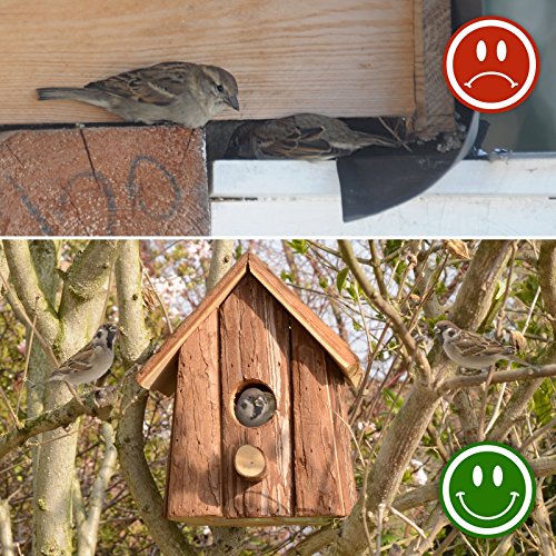 Gardigo – Nido per Uccelli; Casetta, Nido per Uccellini, Uccelli Selvatici in Legno, da esterno; Decorazione Giardino, Terrazza o Balcone - 6