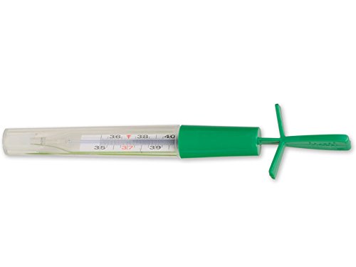 GIMA Termometro Clinico/Febbre - 2
