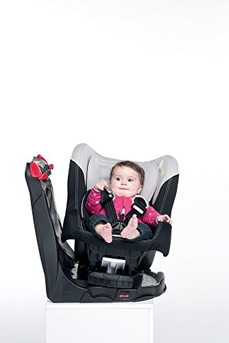 Foppapedretti Tournè Seggiolino Auto, Gruppo 0/1 (0-18kg), per Bambini dalla Nascita fino a 4 Anni circa, Grigio - 5