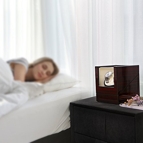 SONGMICS Doppio Caricaorologi Automatico per Orologi Doppi Meccanismo Silenzioso Finitura Liscia e Brillante JWW01RD - 2