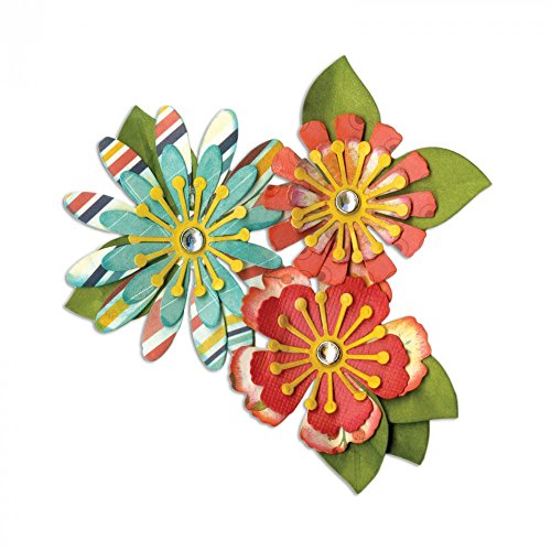Sizzix Mix e Match fiori by Lori Whitlock Thinlits, in acciaio al carbonio,, confezione da 10 - 3