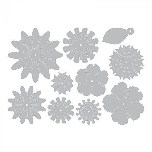 Sizzix Mix e Match fiori by Lori Whitlock Thinlits, in acciaio al carbonio,, confezione da 10 - 5